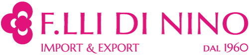 Ingrosso articoli per la decorazione e fioristi | F.lli Di Nino logo