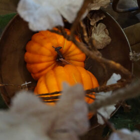 articoli_per_la_decorazione_autunno