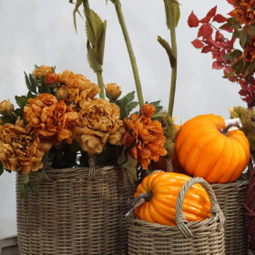decorazioni-negozi-autunno
